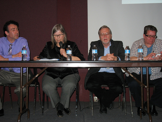 Panel